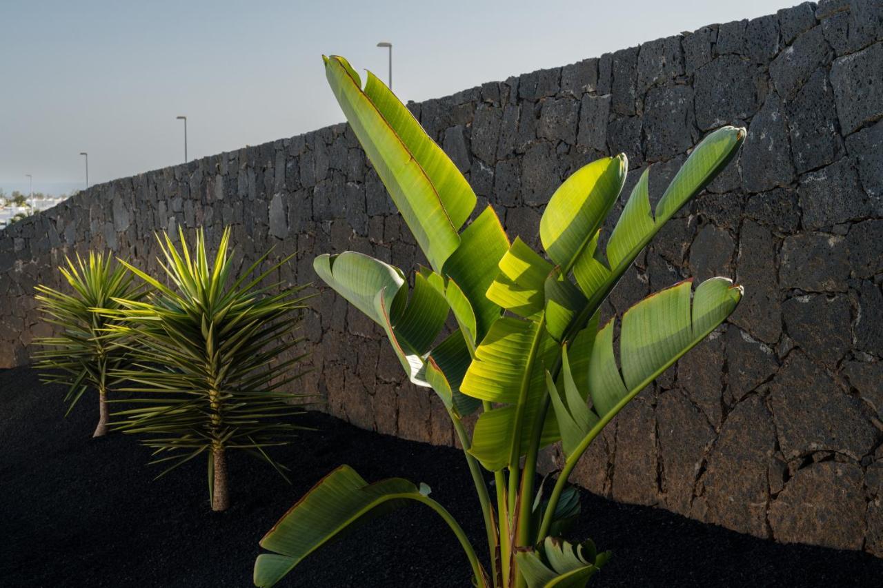 Villas Altos De Lanzarote Коста Бланка Экстерьер фото